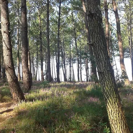 D'hotes Les Sables Blancs 4*