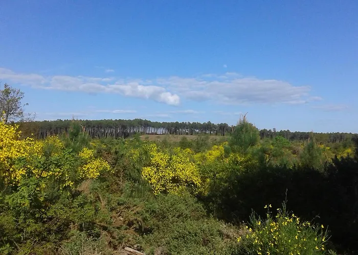 D'hotes Les Sables Blancs