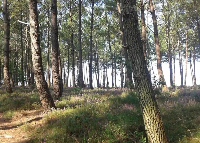 D'hotes Les Sables Blancs 4*